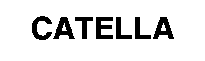 Partner developer 3