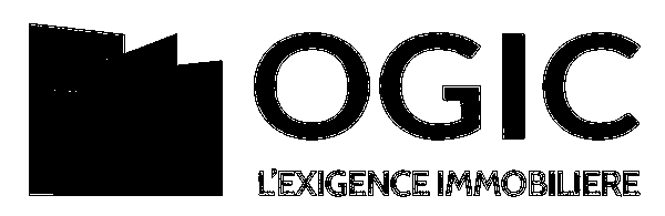 Partner developer 9