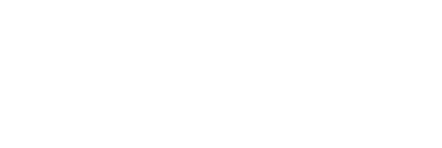 Partner developer 5