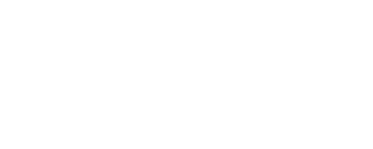 Partner developer 13