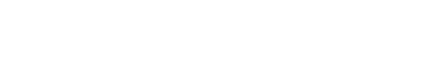 Partner developer 2