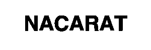 Partner developer 11